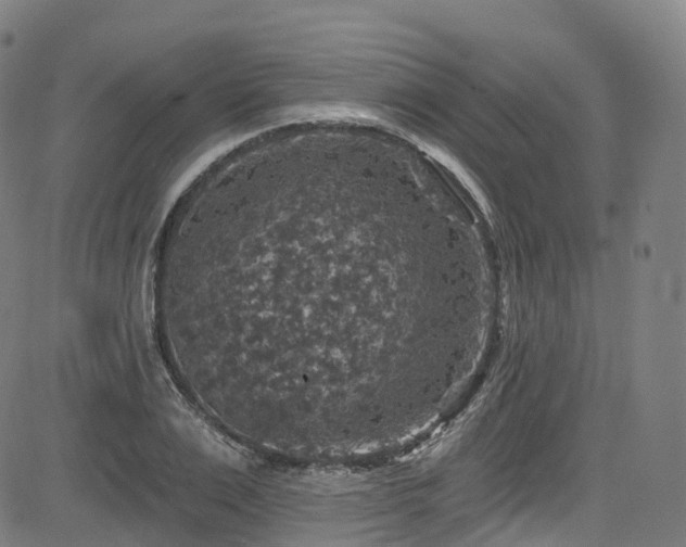 X0000085260983200703091319