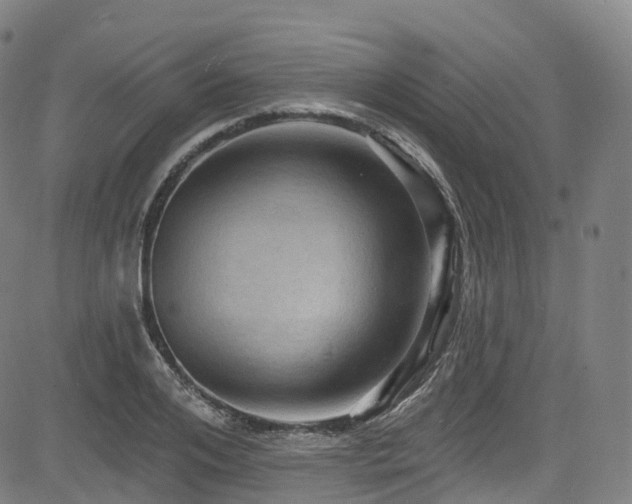 X0000085260984200703091319