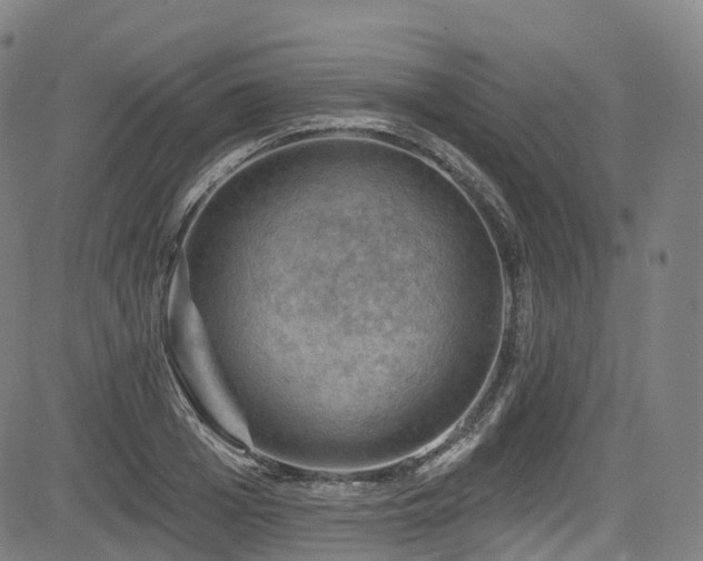 X0000085260985200703091319