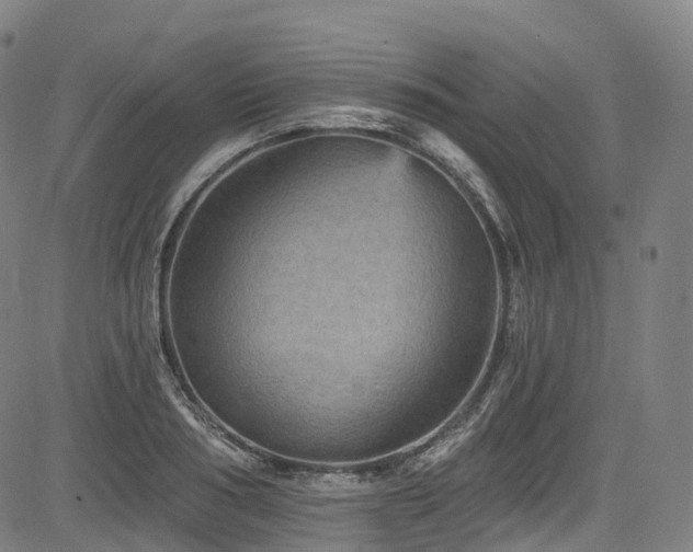 X0000085260986200703091319