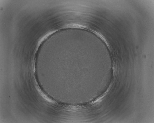 X0000085260987200703091319