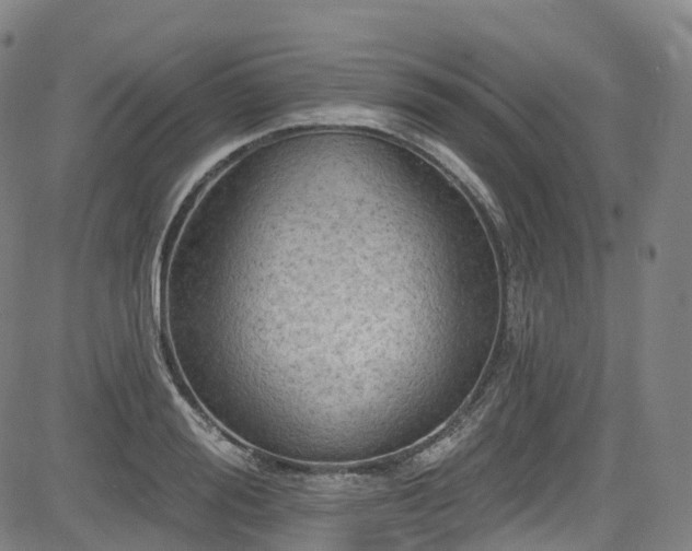 X0000085260988200703091319