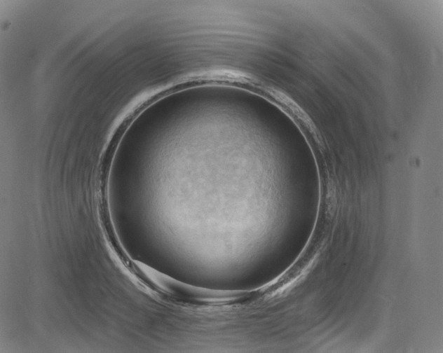 X0000085260989200703091319