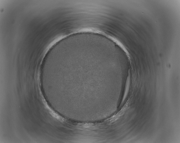 X0000085260991200703091319