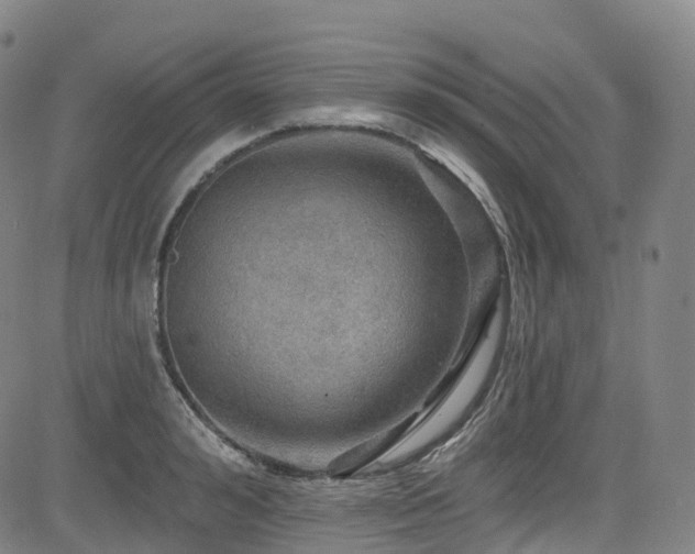 X0000085260992200703091319