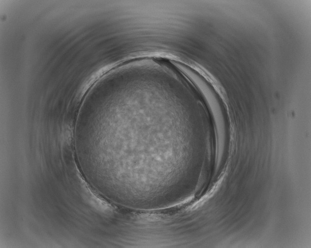 X0000085260993200703091319