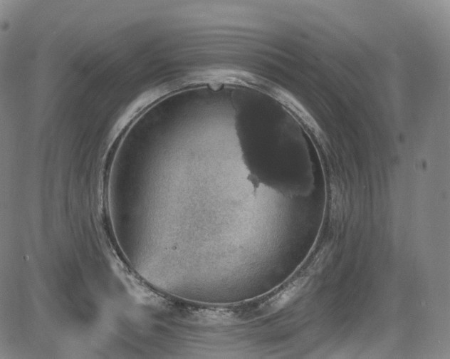 X0000085260994200703091319