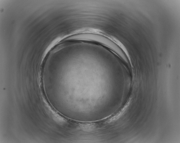 X0000085260997200703091319