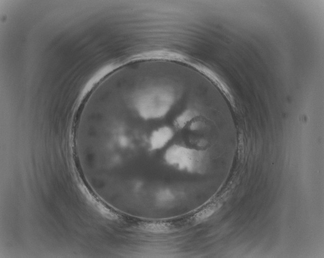 X0000085260998200703091319