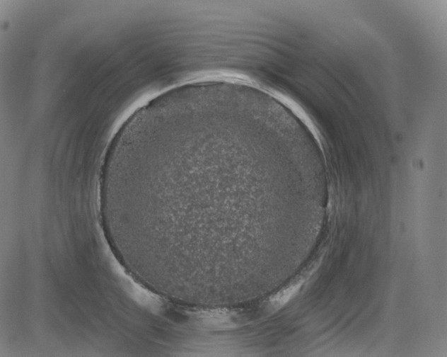 X0000085260999200703091319