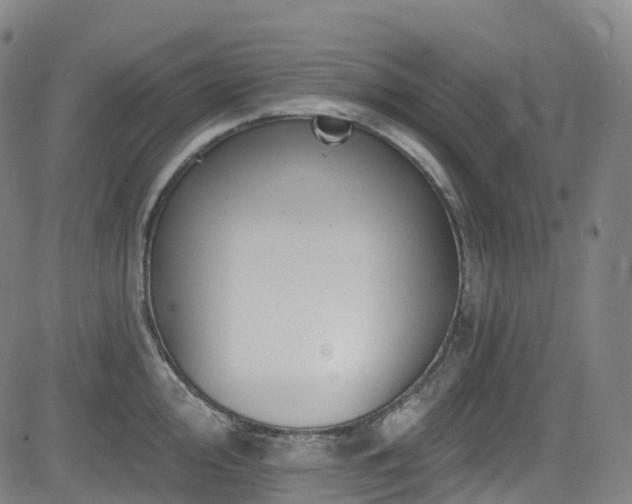 X0000085261000200703091319