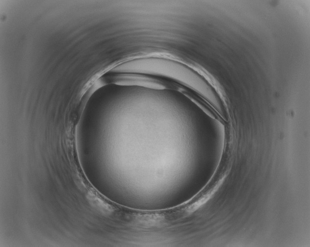 X0000085261001200703091319