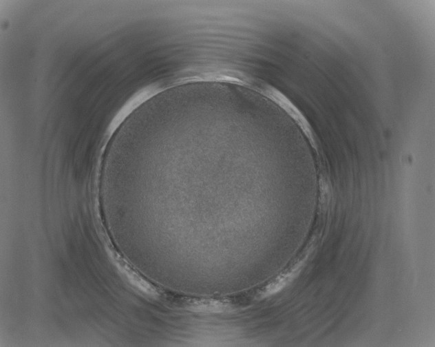 X0000085261002200703091319