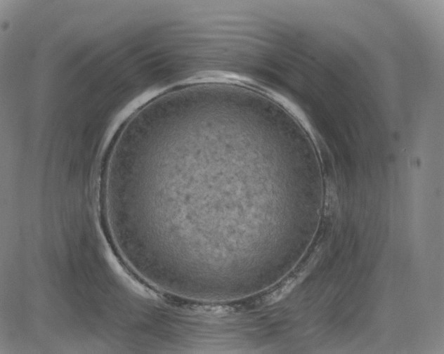 X0000085261003200703091319