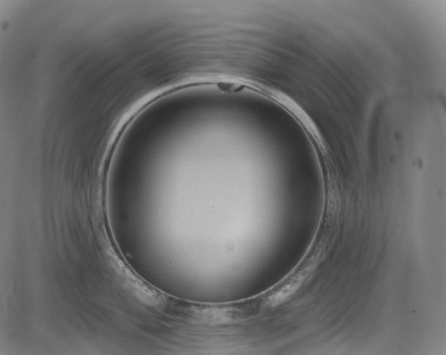 X0000085261004200703091319