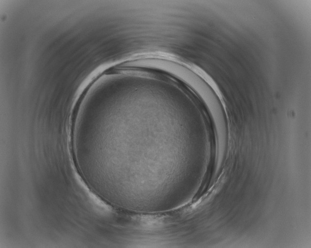 X0000085261005200703091319