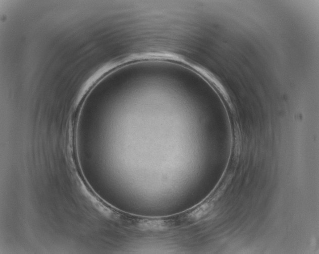 X0000085261006200703091319