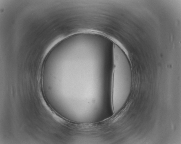 X0000085261007200703091319