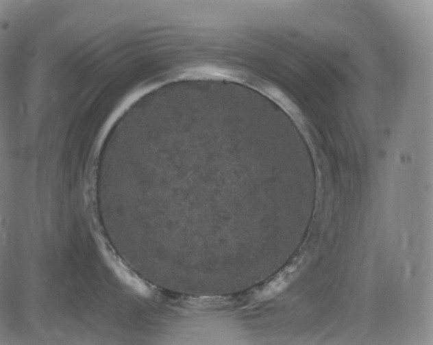 X0000085261008200703091319