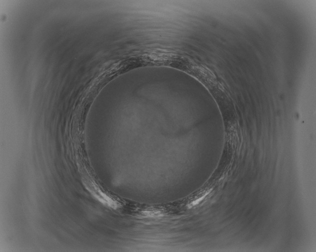 X0000085261009200703091318