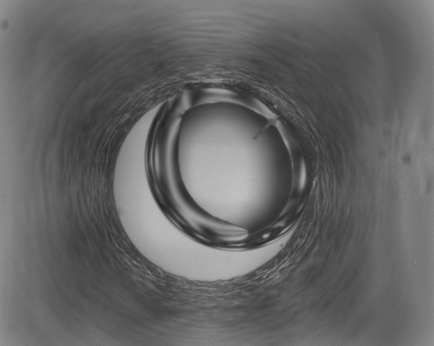 X0000085261010200703091318