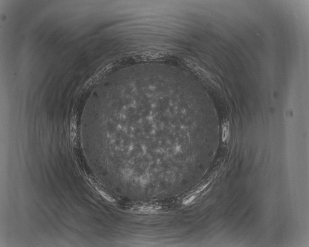 X0000085261011200703091318