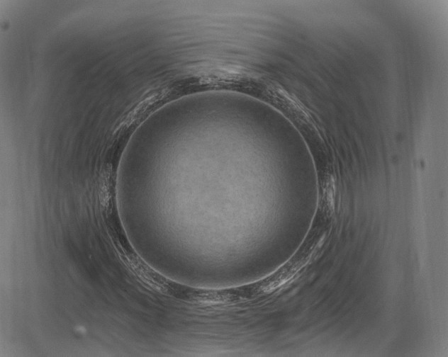 X0000085261012200703091318