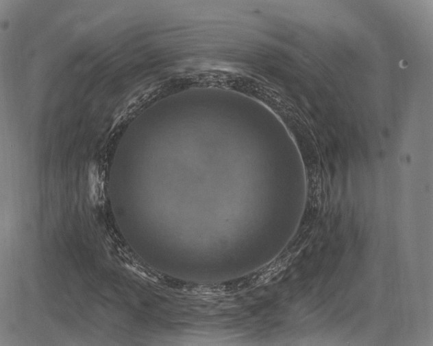 X0000085261013200703091318