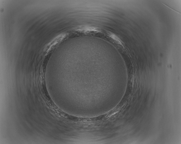 X0000085261014200703091318