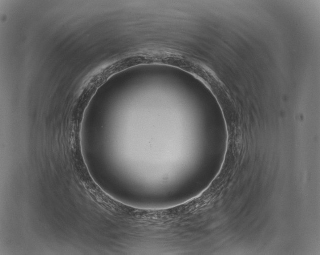 X0000085261016200703091318