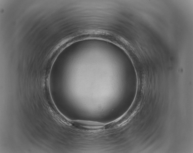 X0000085261017200703091318