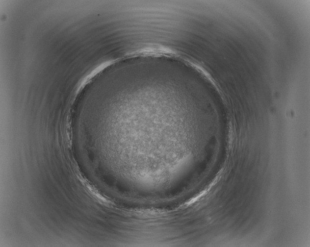 X0000085261018200703091318