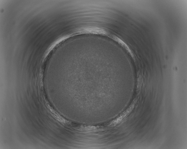 X0000085261019200703091318