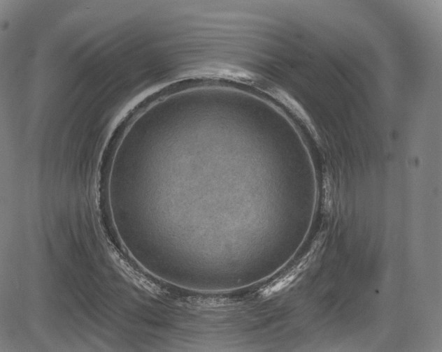 X0000085261020200703091318