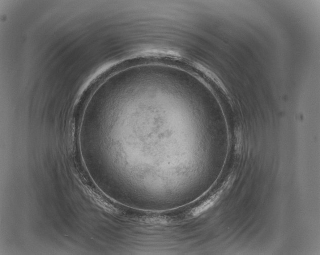 X0000085261021200703091318