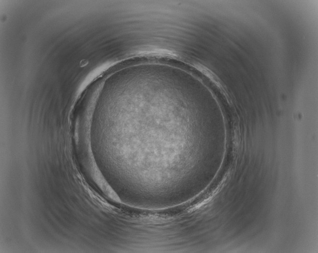 X0000085261022200703091318