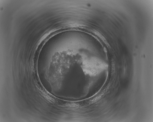 X0000085261023200703091318