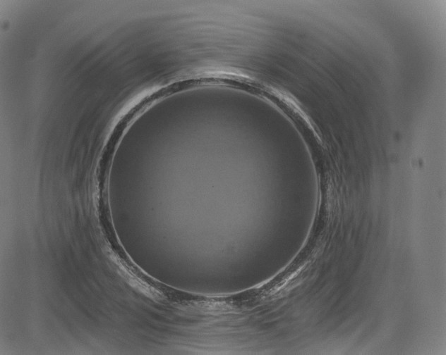 X0000085261024200703091318