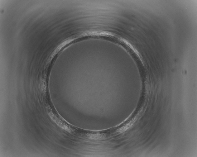 X0000085261025200703091318