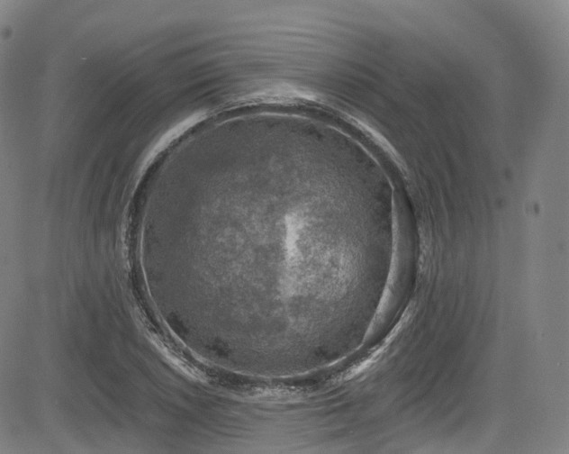 X0000085261026200703091318