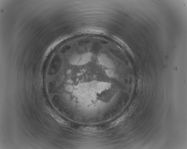 X0000085261027200703091318