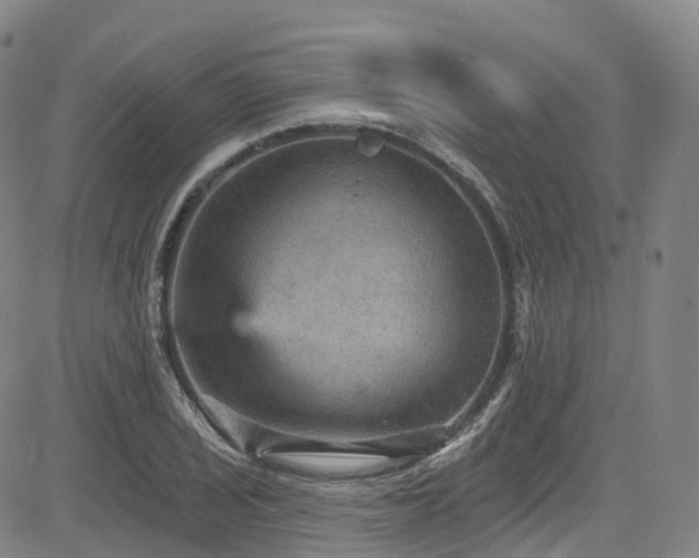 X0000085261029200703091318