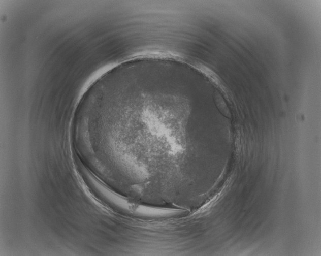 X0000085261030200703091318