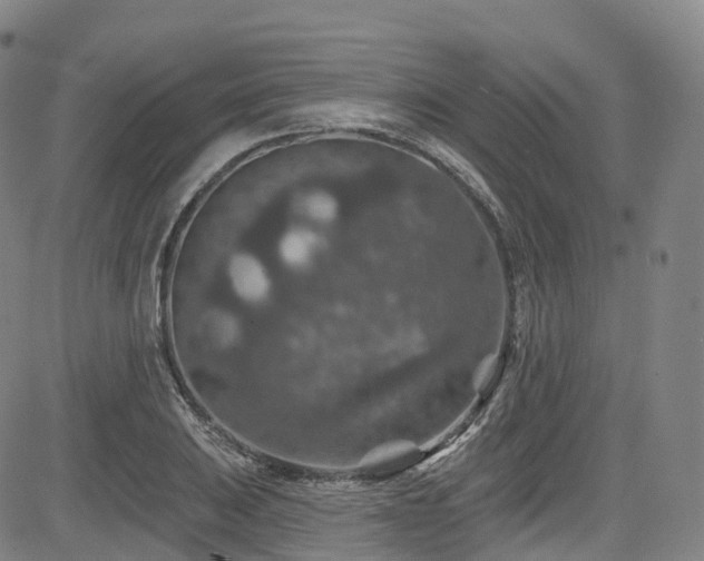 X0000085261031200703091318