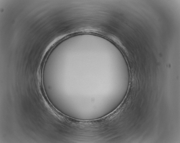 X0000085261032200703091318