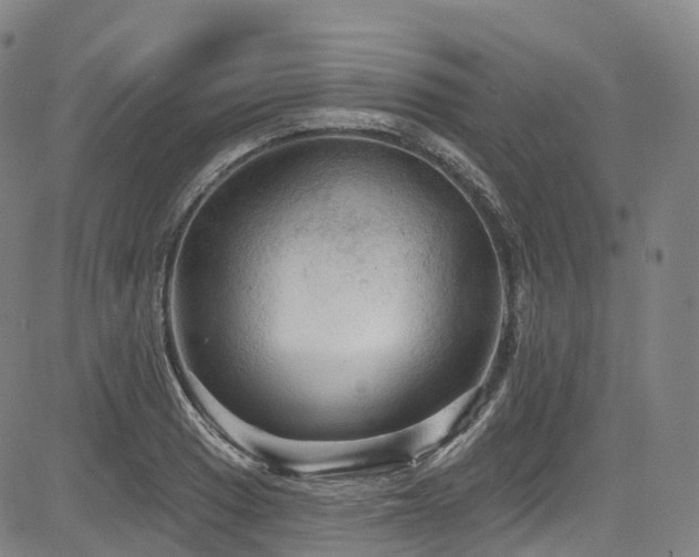 X0000085261033200703091318