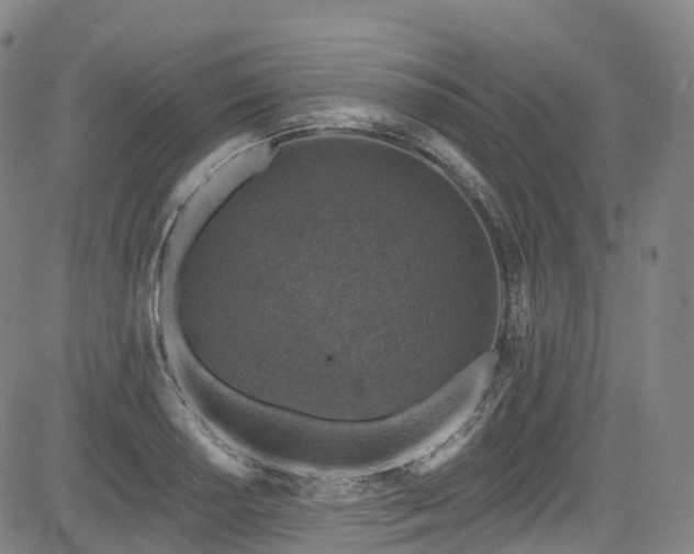 X0000085261034200703091318