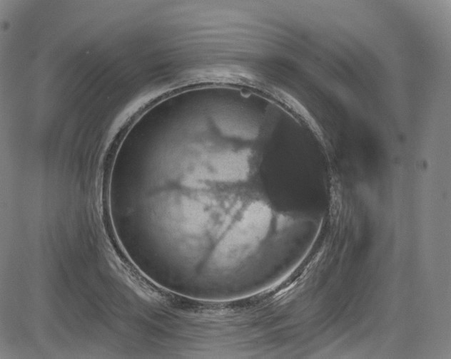 X0000085261035200703091318