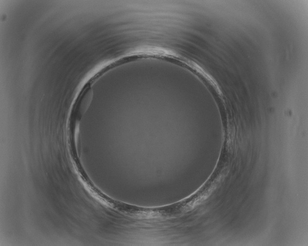 X0000085261037200703091318