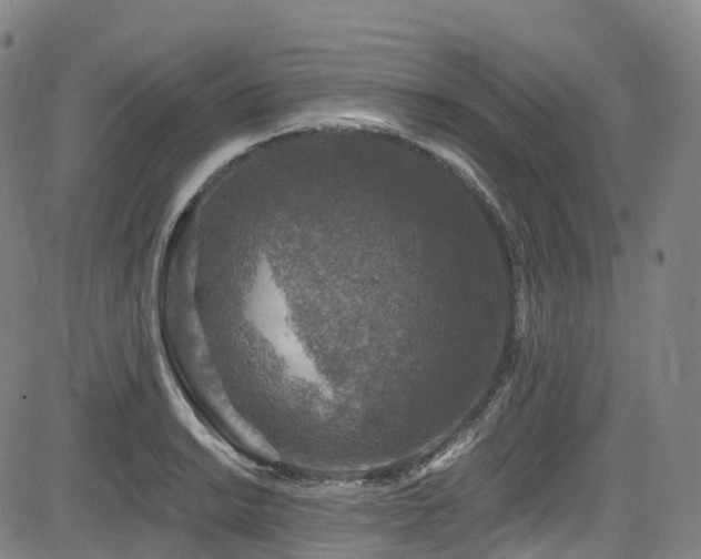 X0000085261038200703091318